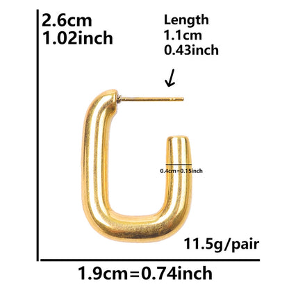 Orecchini irregolari in stile moderno [304 acciaio inossidabile, oro 18K placcato]