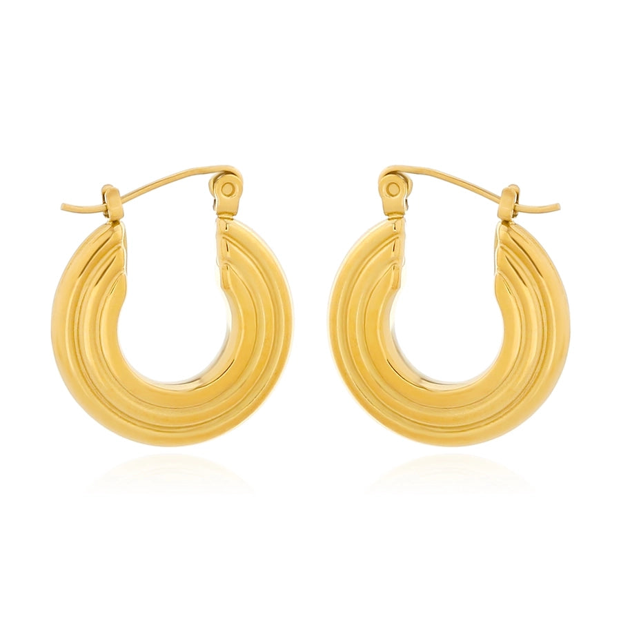 Geometric Hoop Earrings [316 Stainless Steel,18K Gold Plated]