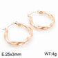 Twisted Hoop Earrings [304 Stainless Steel,18K Gold Plated]