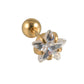 1 Piece Ear Cartilage Stud Star Zircon Earrings [304 Stainless Steel, 18K Gold Plated]