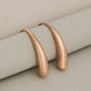 Hook Earrings [304 Stainless Steel,18K Gold Plated]