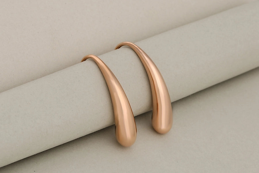 Hook Earrings [304 Stainless Steel,18K Gold Plated]