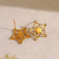 Star Polishing Zircon Earrings [304 Stainless Steel,18K Gold Plated]