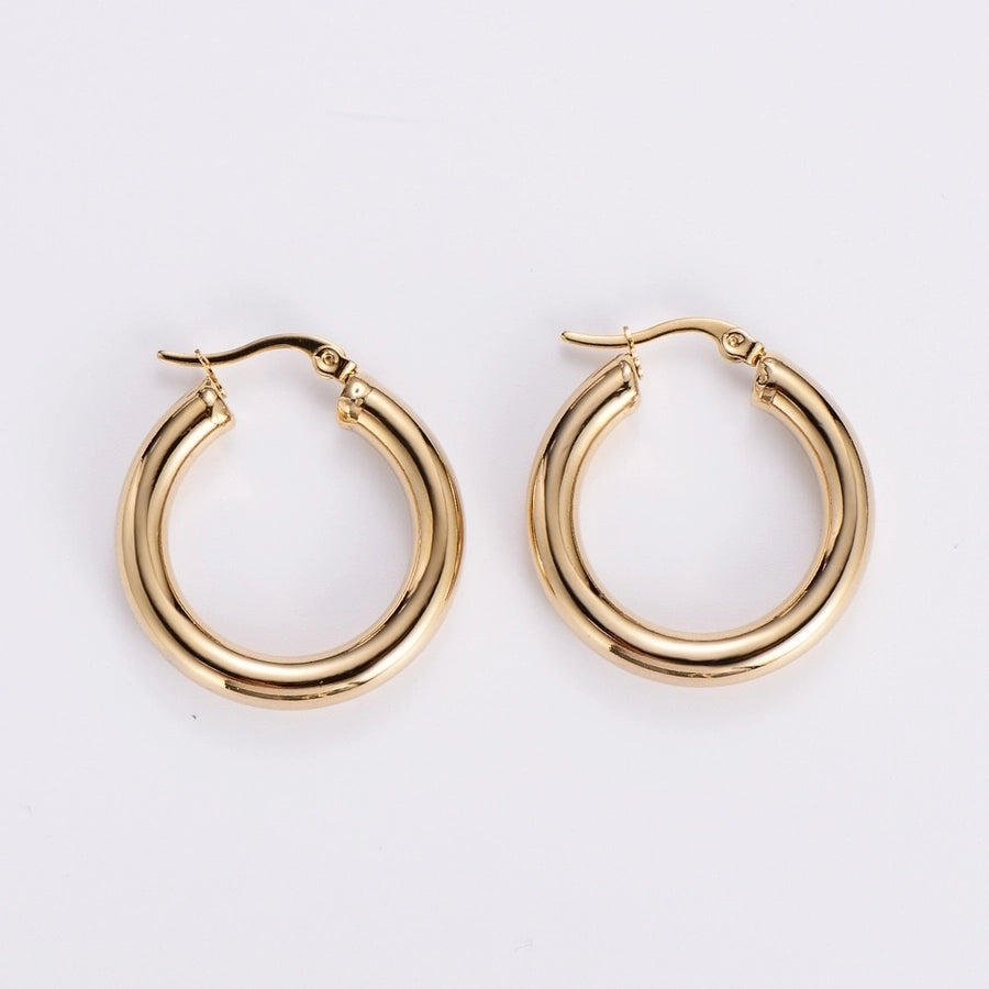 Hoop Earrings [304 Stainless Steel,18K Gold Plated]