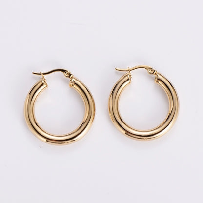 Hoop Earrings [304 Stainless Steel,18K Gold Plated]