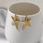 Star Earrings [304 Stainless Steel,14K Gold Plated]