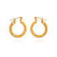 Rhinestone Hoop Earrings [316 Stainless Steel,18K Gold Plated]