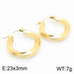 Twisted Hoop Earrings [304 Stainless Steel,18K Gold Plated]